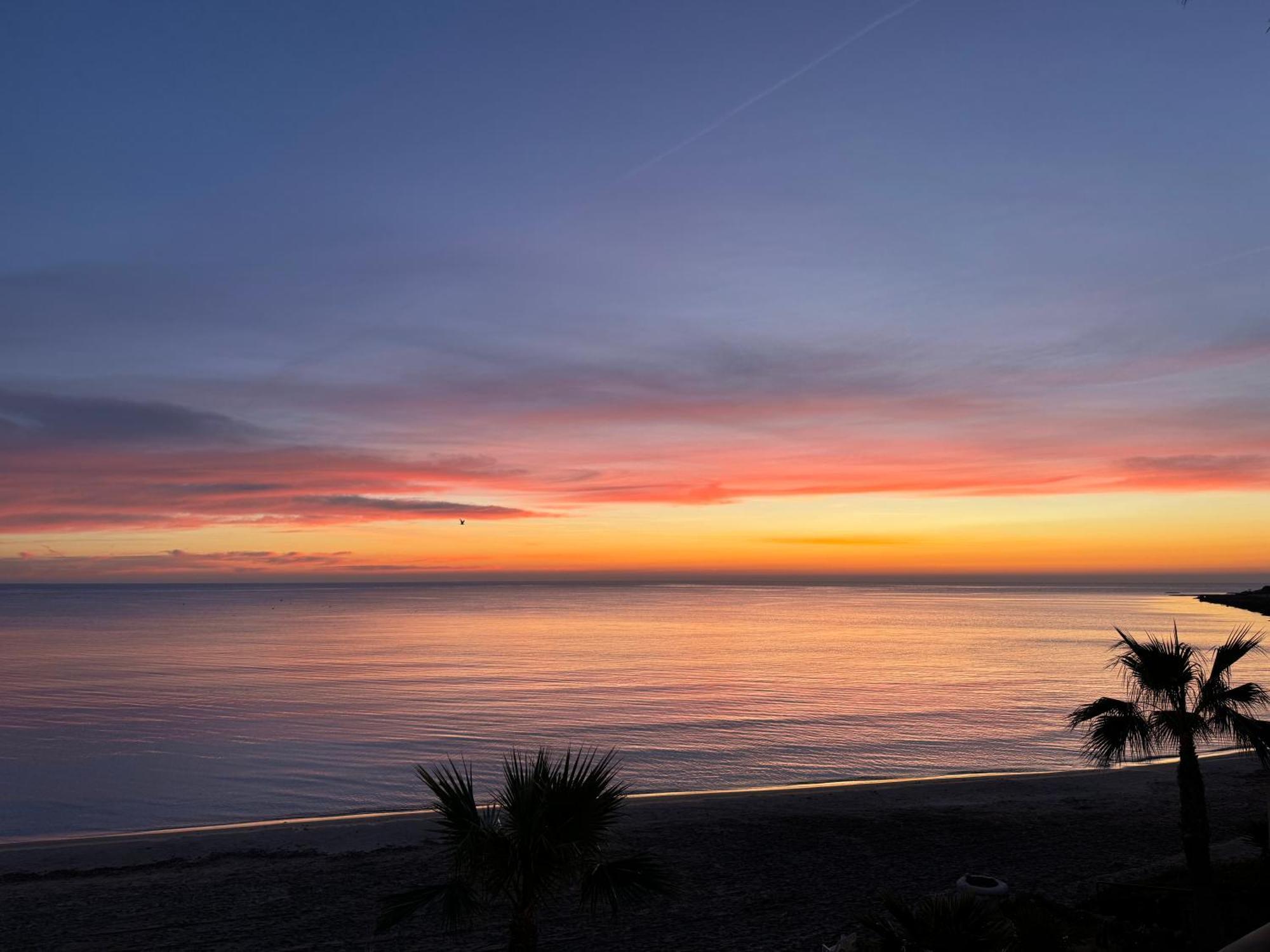 Espectacular Apartamento A Pie De Playa En Chalet Roquetes Alicante Esterno foto